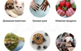 Подозрение на глисты что делать