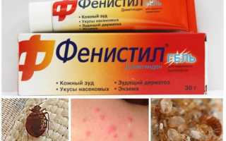 Как выглядит укус после клопа