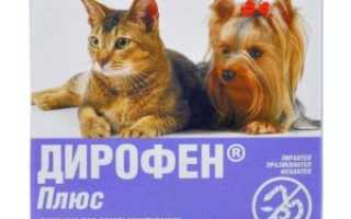 Признаки гельминтоза у кошек