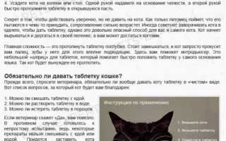 Огуречный цепень у кошек симптомы