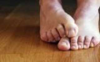Мицелий и споры candida что это