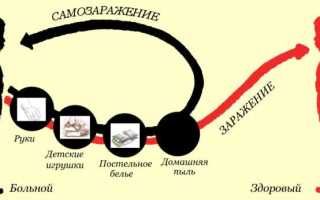 Энтеробиоз источник инфекции