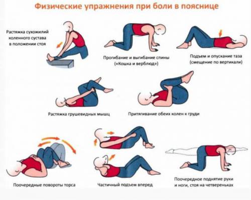 Упражнения для поясницы Упражнения для поясницы